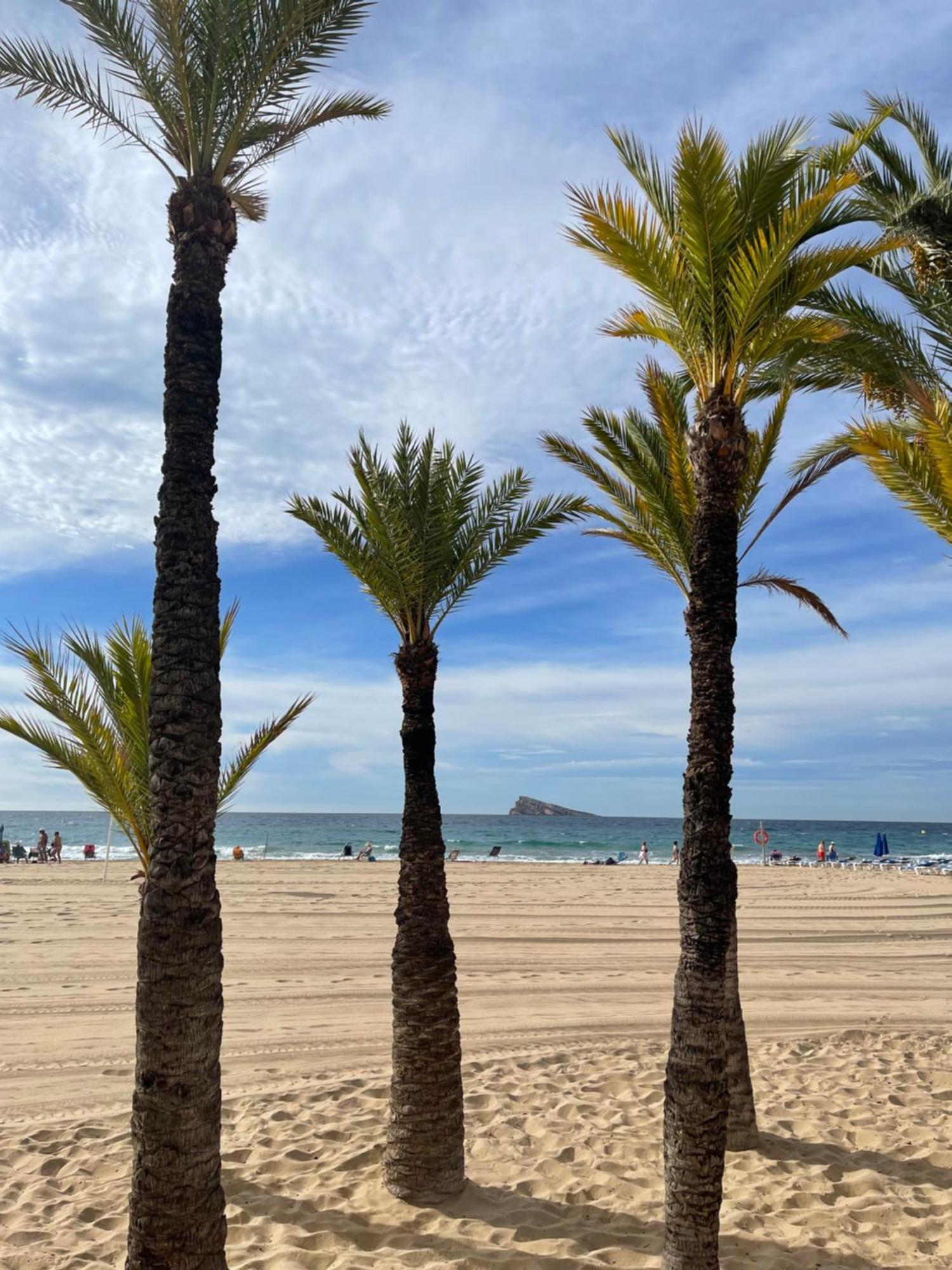 Marinapartsol 5A Daire Benidorm Dış mekan fotoğraf